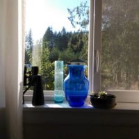 Window with blue glass vases, a pair of binoculars, and a small potted plant on the sill and evergreen trees in the distance